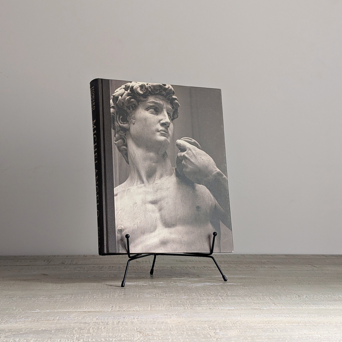 Michelangelo Book