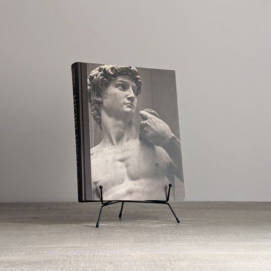 Michelangelo Book