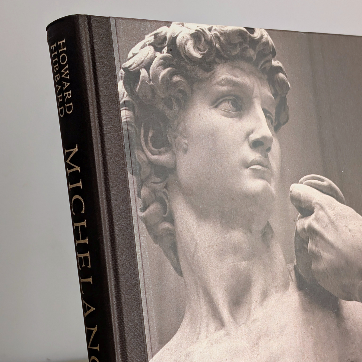Michelangelo Book