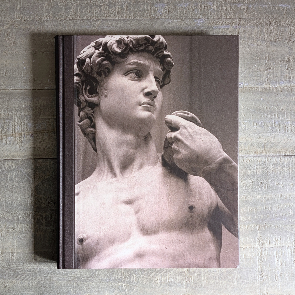 Michelangelo Book