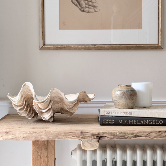 Large Clam Shell 1
