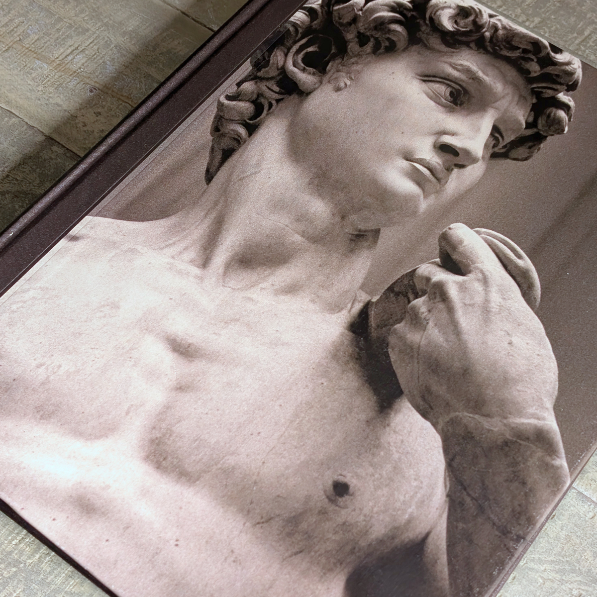 Michelangelo Book