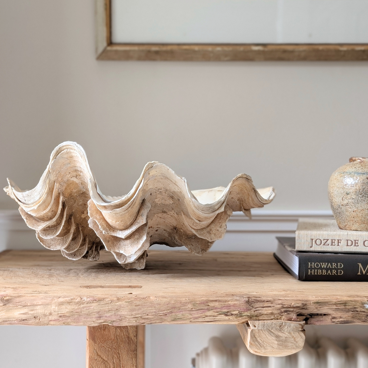 Large Clam Shell 1