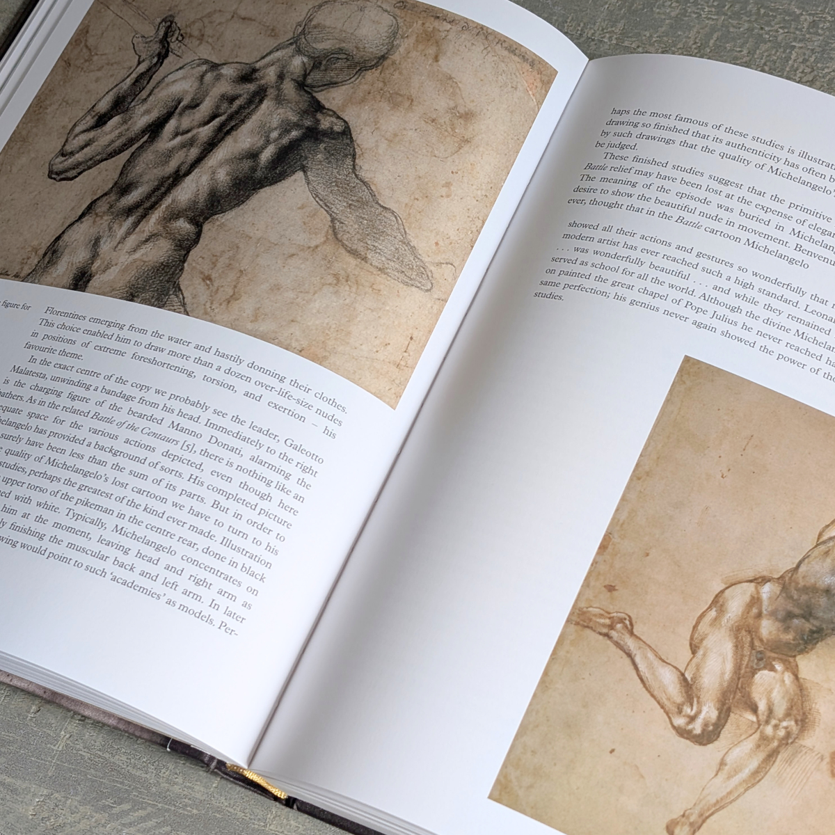Michelangelo Book