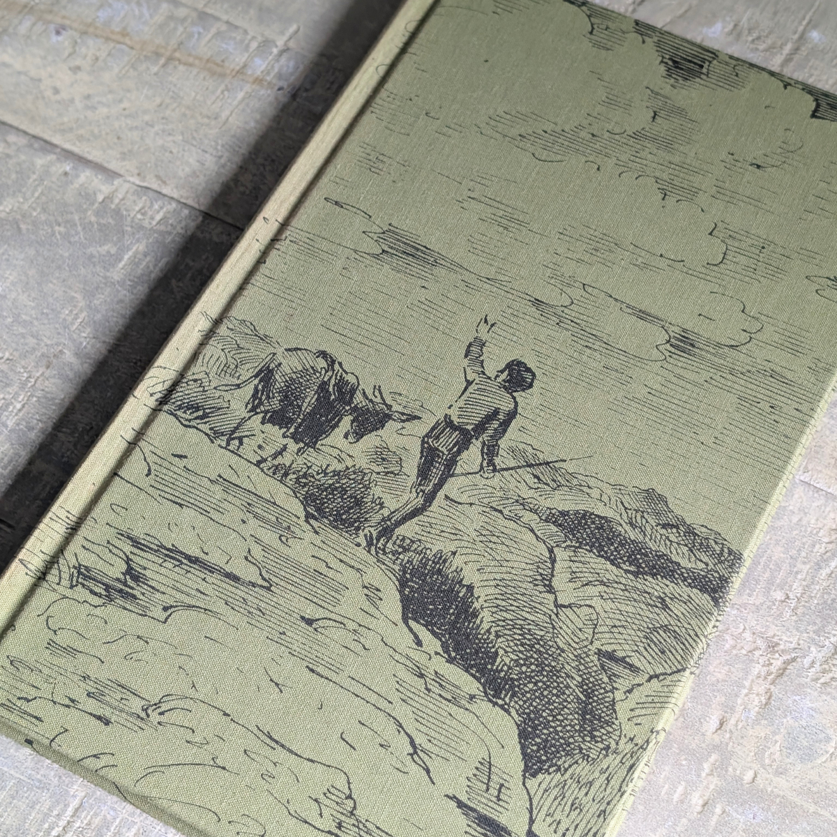 Travels With a Donkey Book