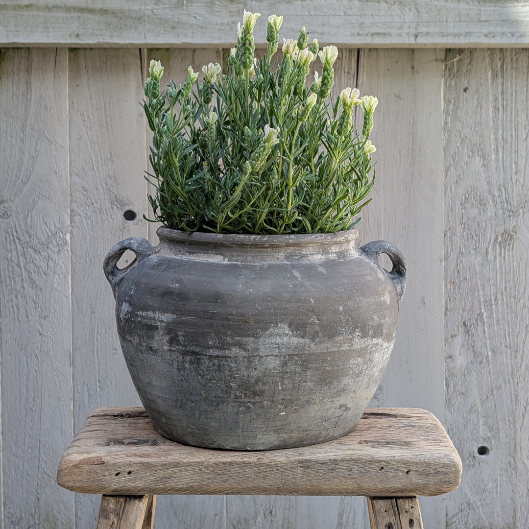 Medium Stone Grey Double Handled Pot