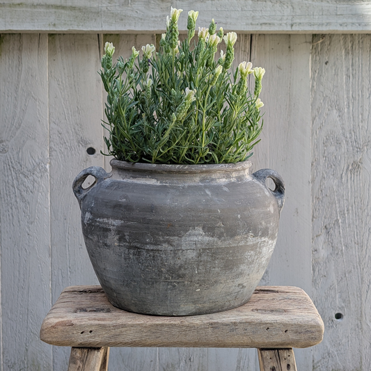 Medium Stone Grey Double Handled Pot