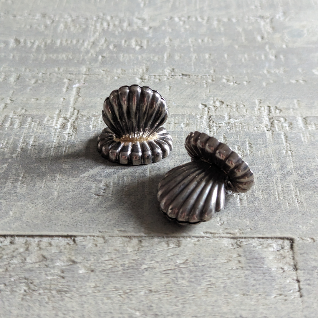 Seashell Place Card Holders