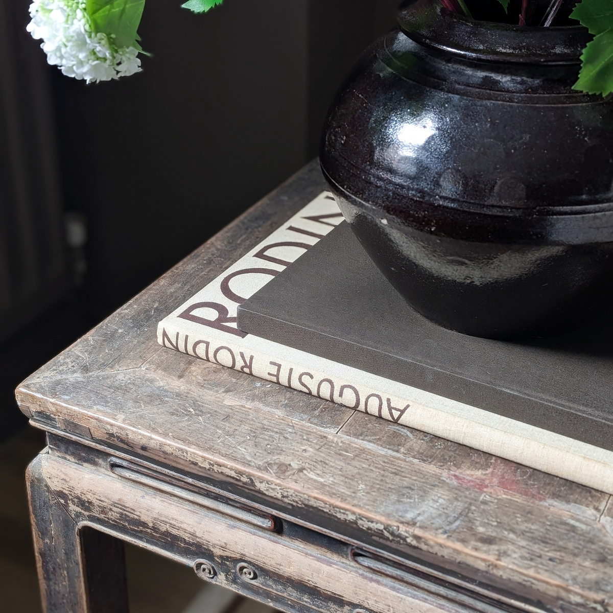 Rodin Book