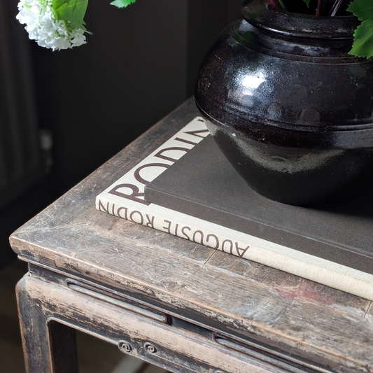 Jan van der Aa Book