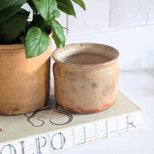 Small Yellow Pot 1