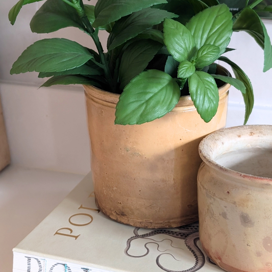 Medium Yellow Pot