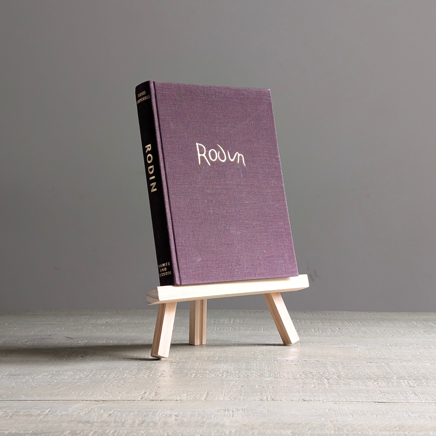 Rodin Book