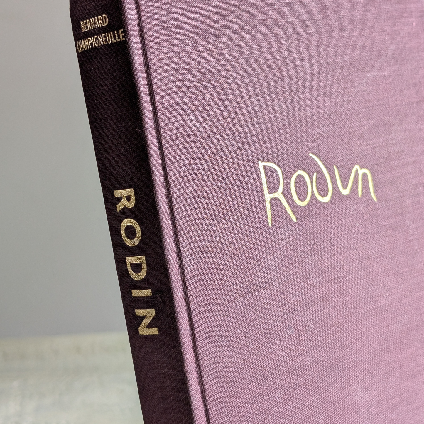 Rodin Book