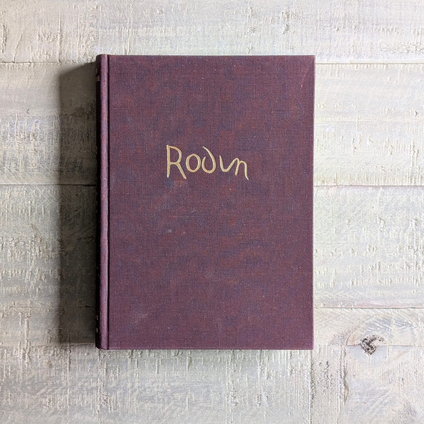 Rodin Book
