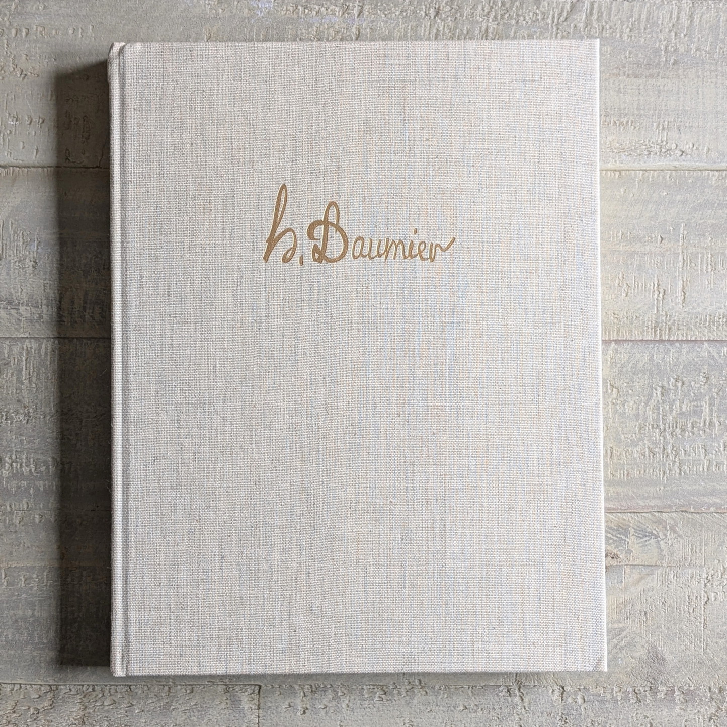Daumier Book