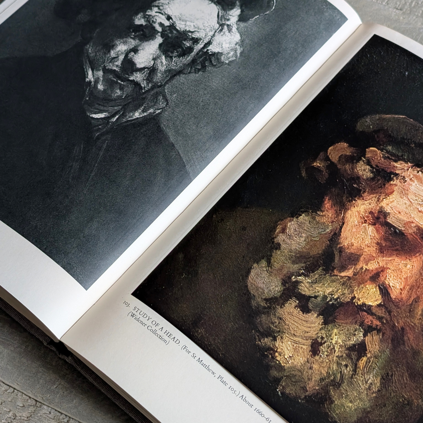 Rembrandt Book