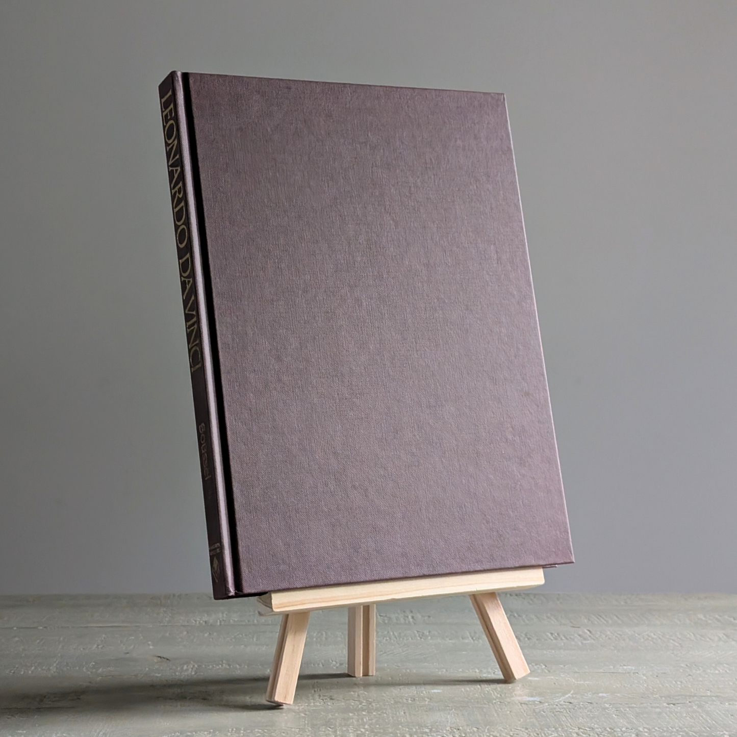 Leonardo Da Vinci Book