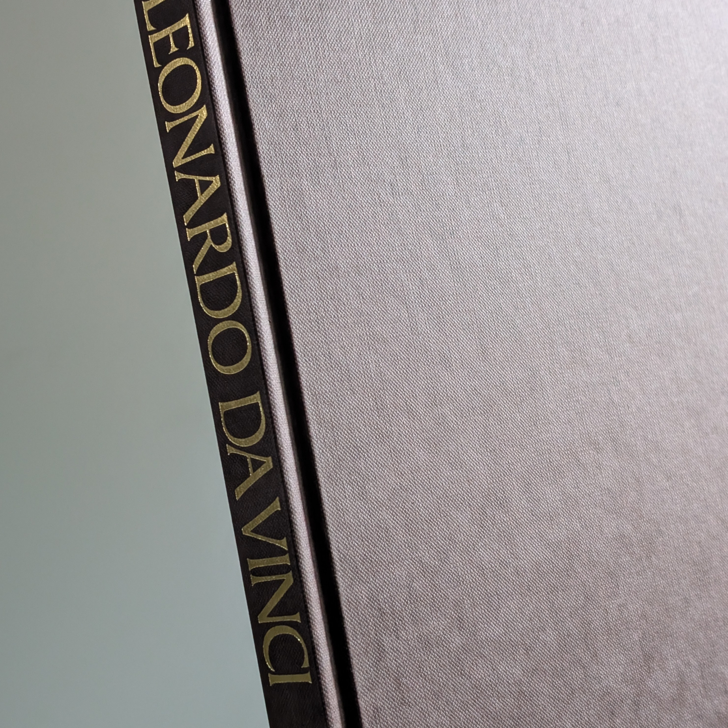 Leonardo Da Vinci Book