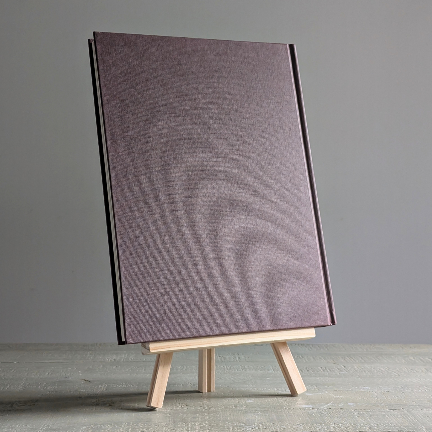 Leonardo Da Vinci Book