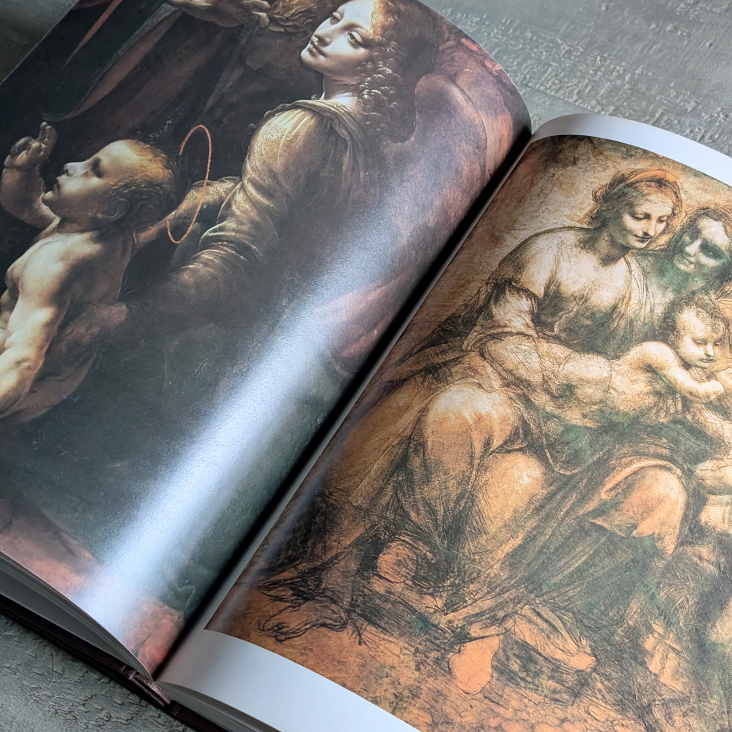 Leonardo Da Vinci Book