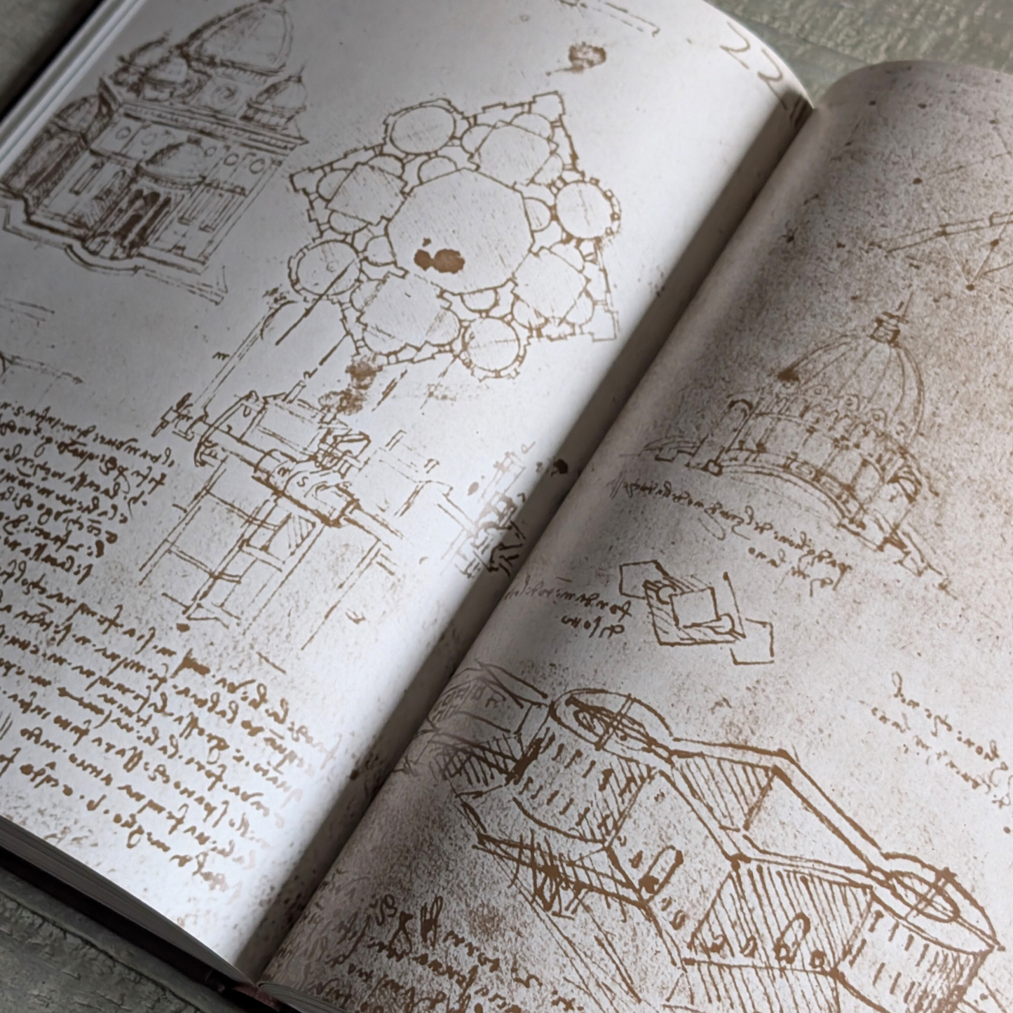 Leonardo Da Vinci Book
