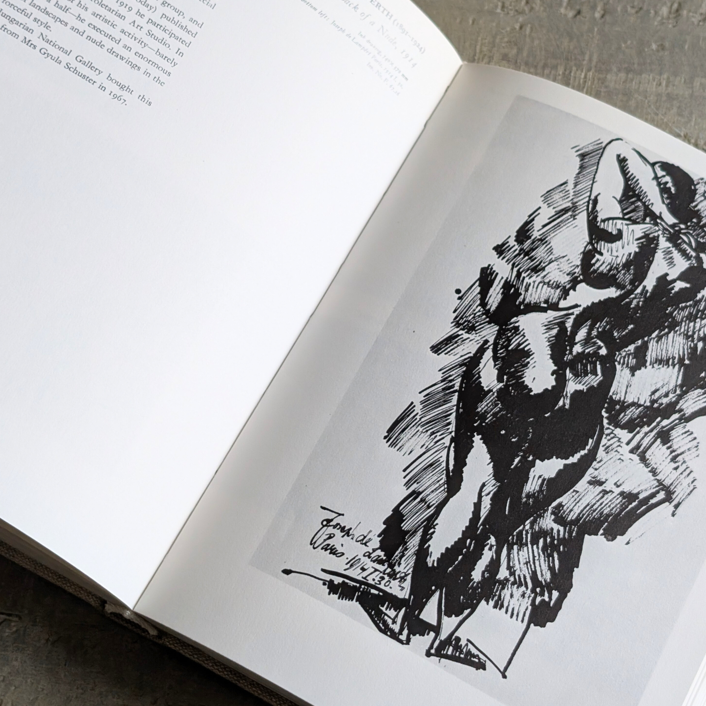 Collections of the Hungarian Gallery Book