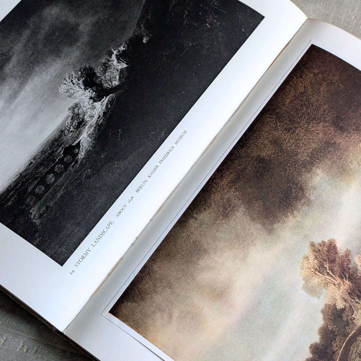 Paintings of Rembrandt Book