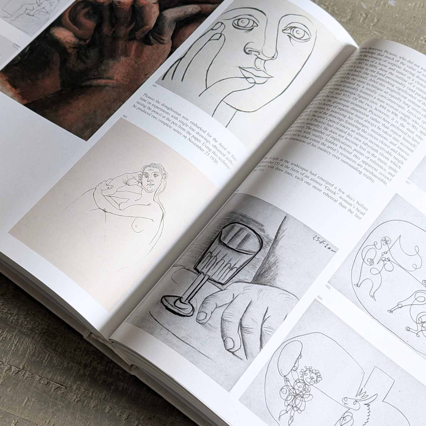Picasso 1917-1926 Book