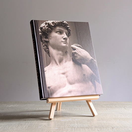 Michelangelo Book