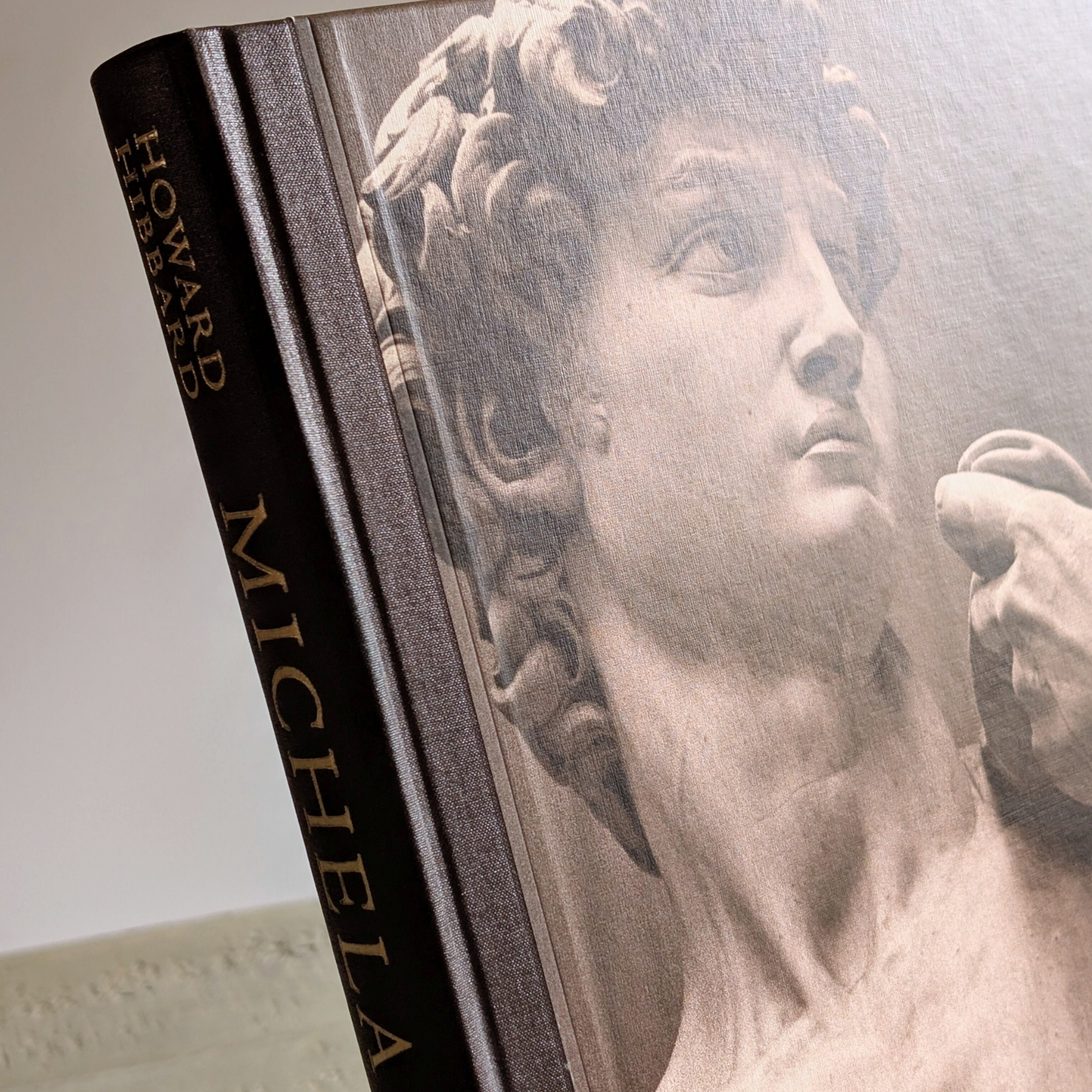 Michelangelo Book
