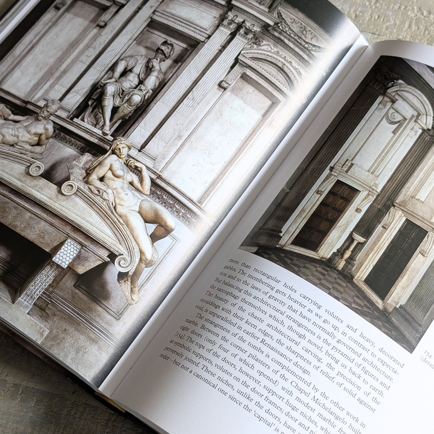Michelangelo Book