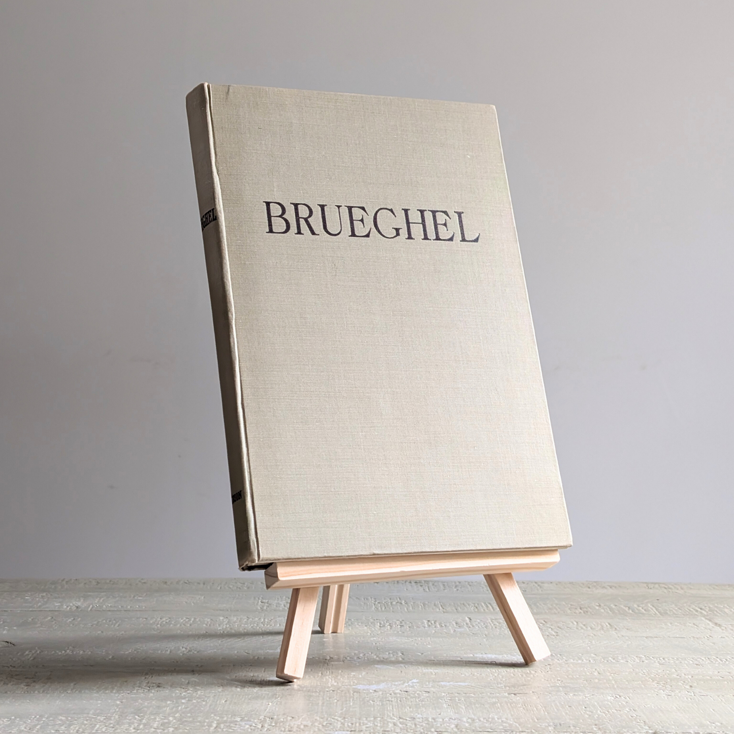 Brueghel Book