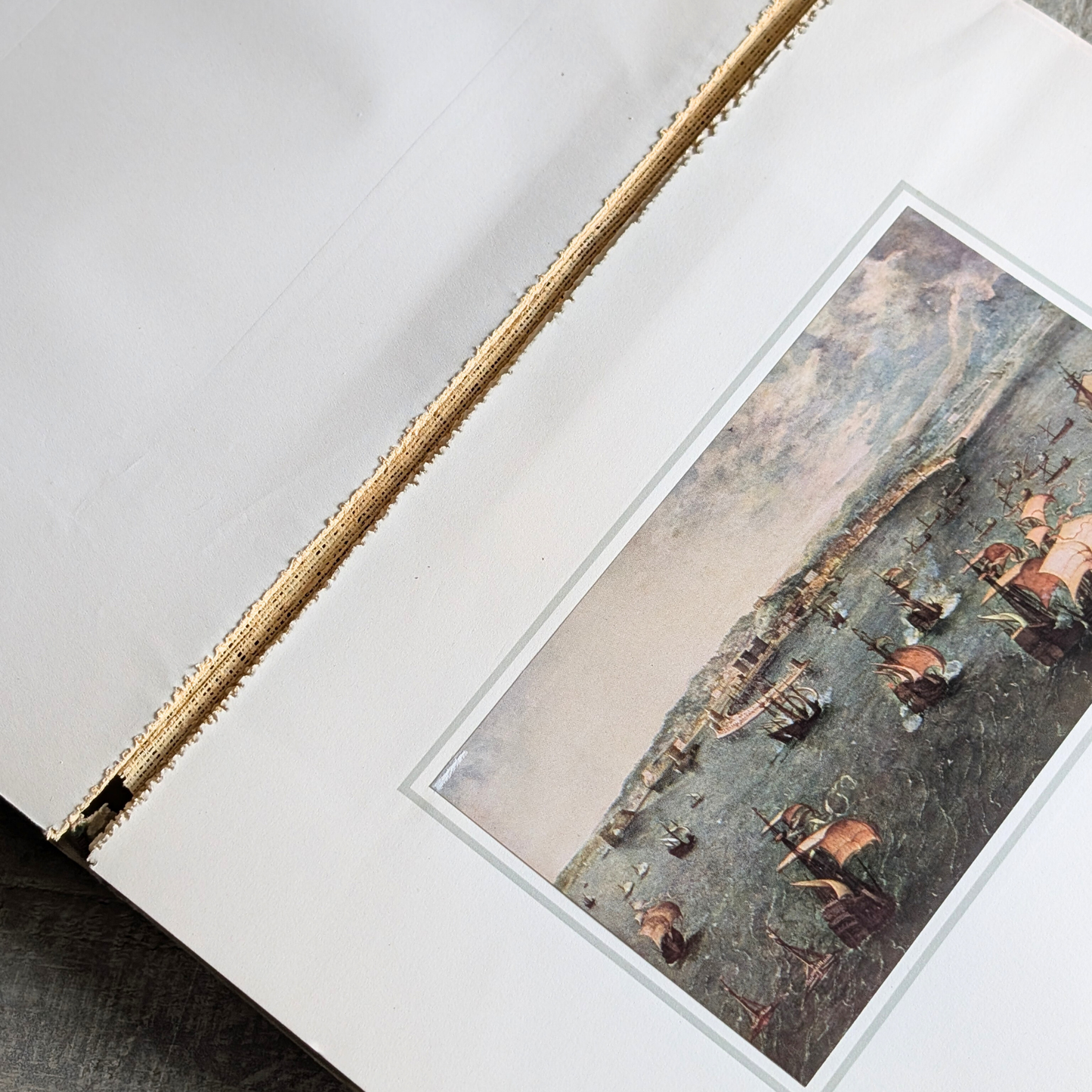 Brueghel Book
