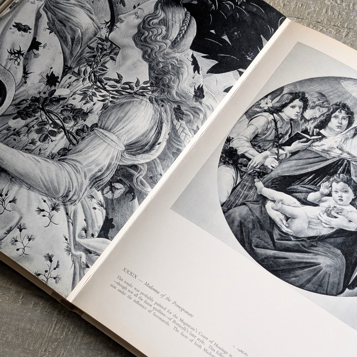 Botticelli Book
