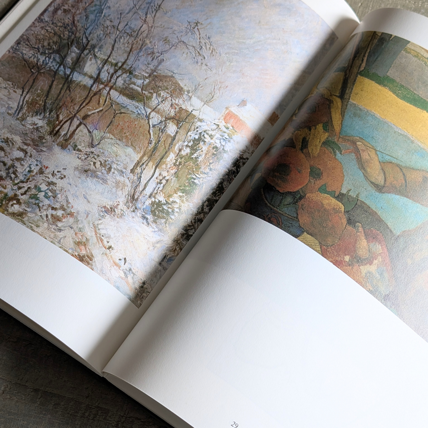 Gauguin Book