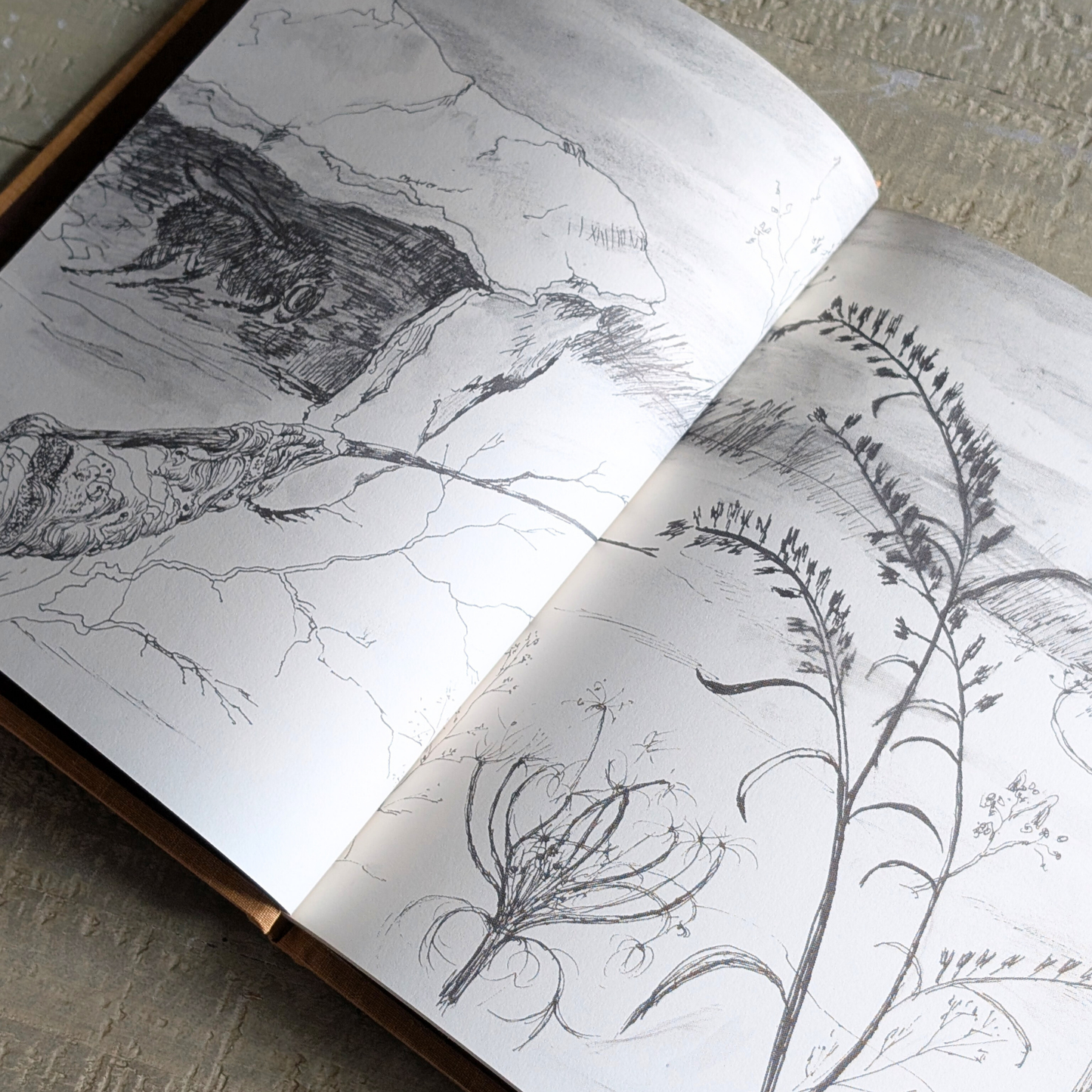 Wallace Insects Book