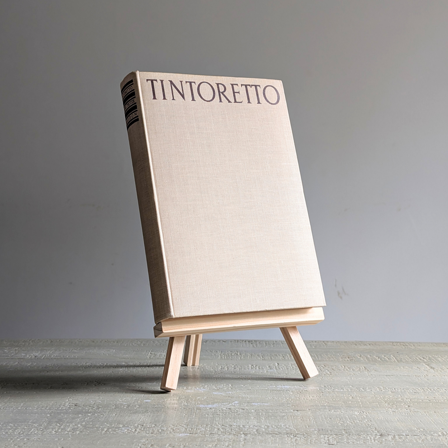 Tintoretto Book