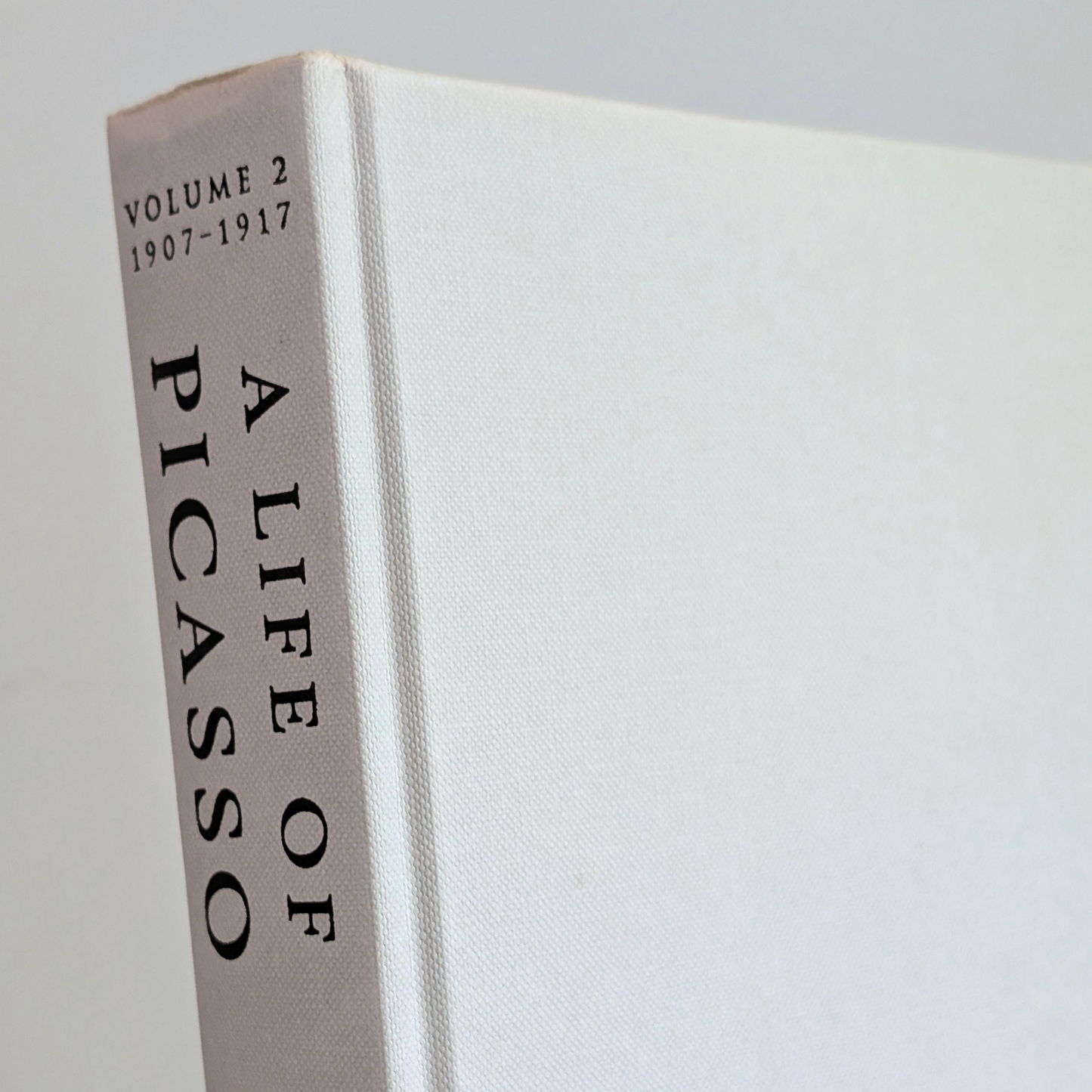 A Life of Picasso Book