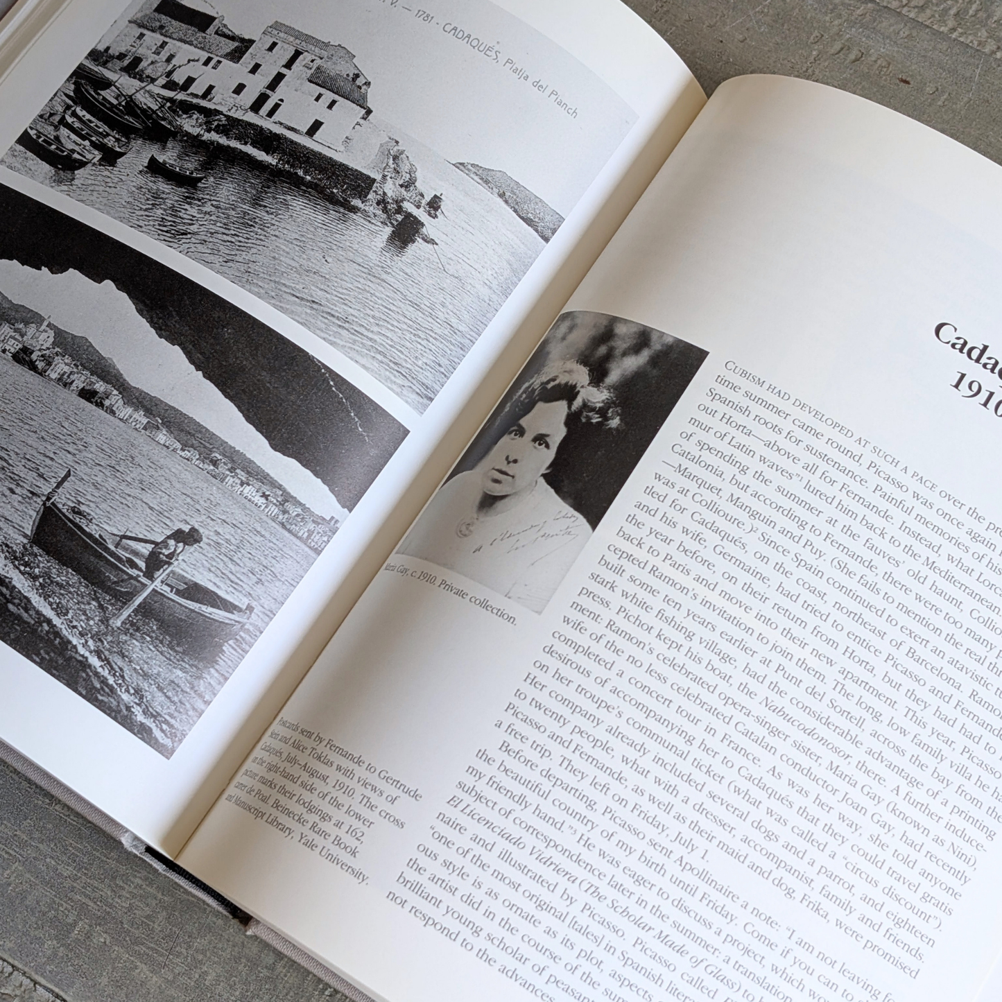 A Life of Picasso Book