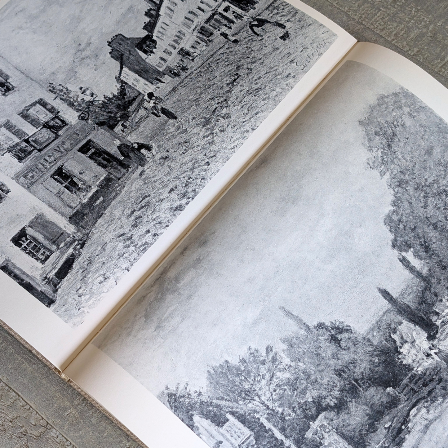 The Impressionists and their World Book