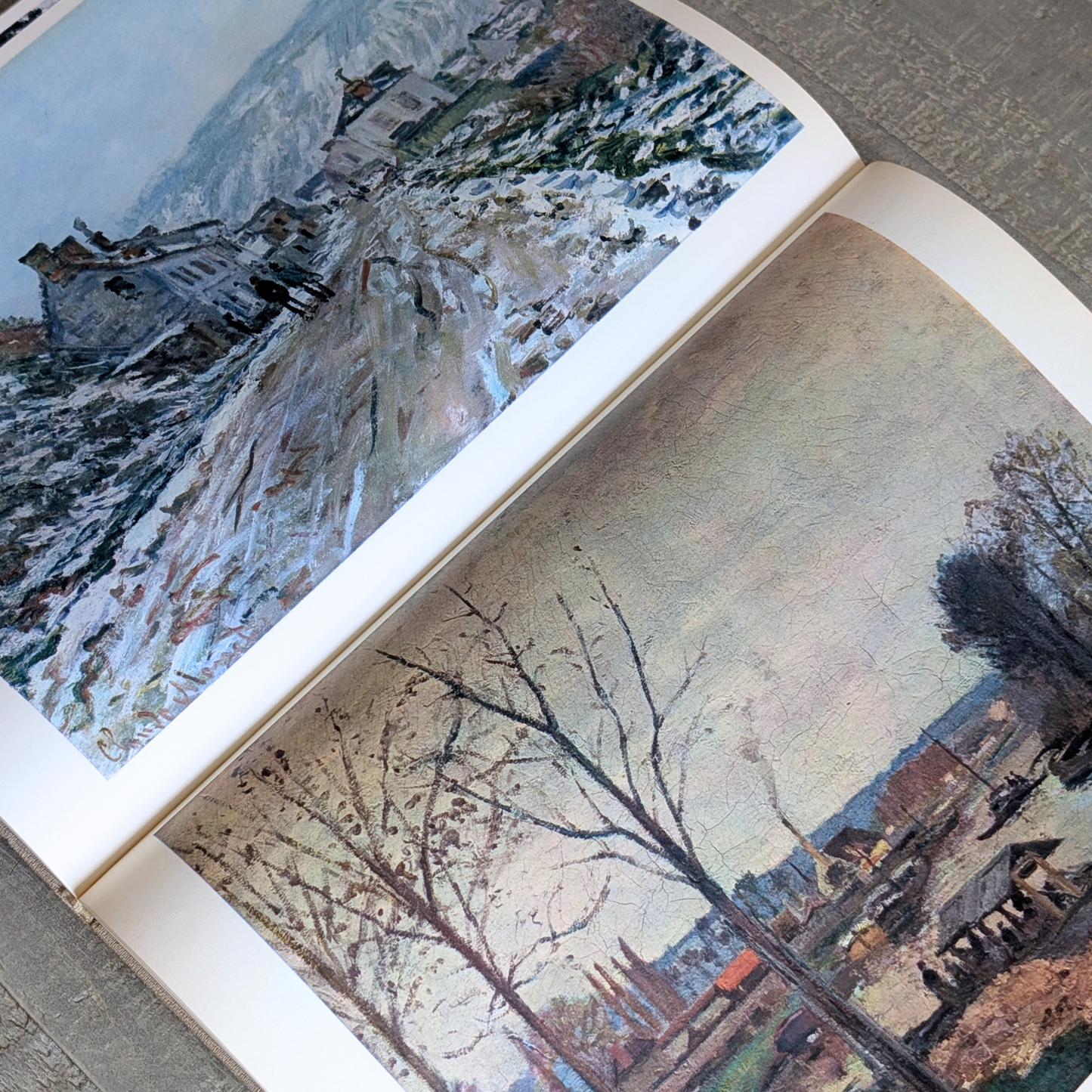 The Impressionists and their World Book