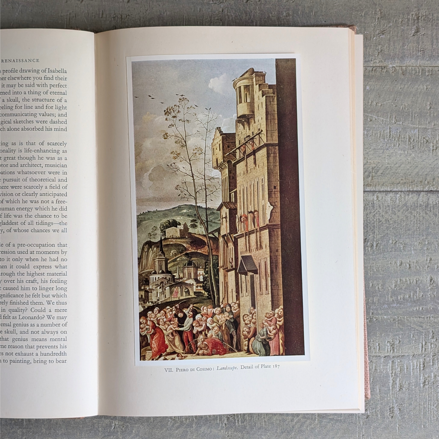 The Italian Painters of the Renaissance Book