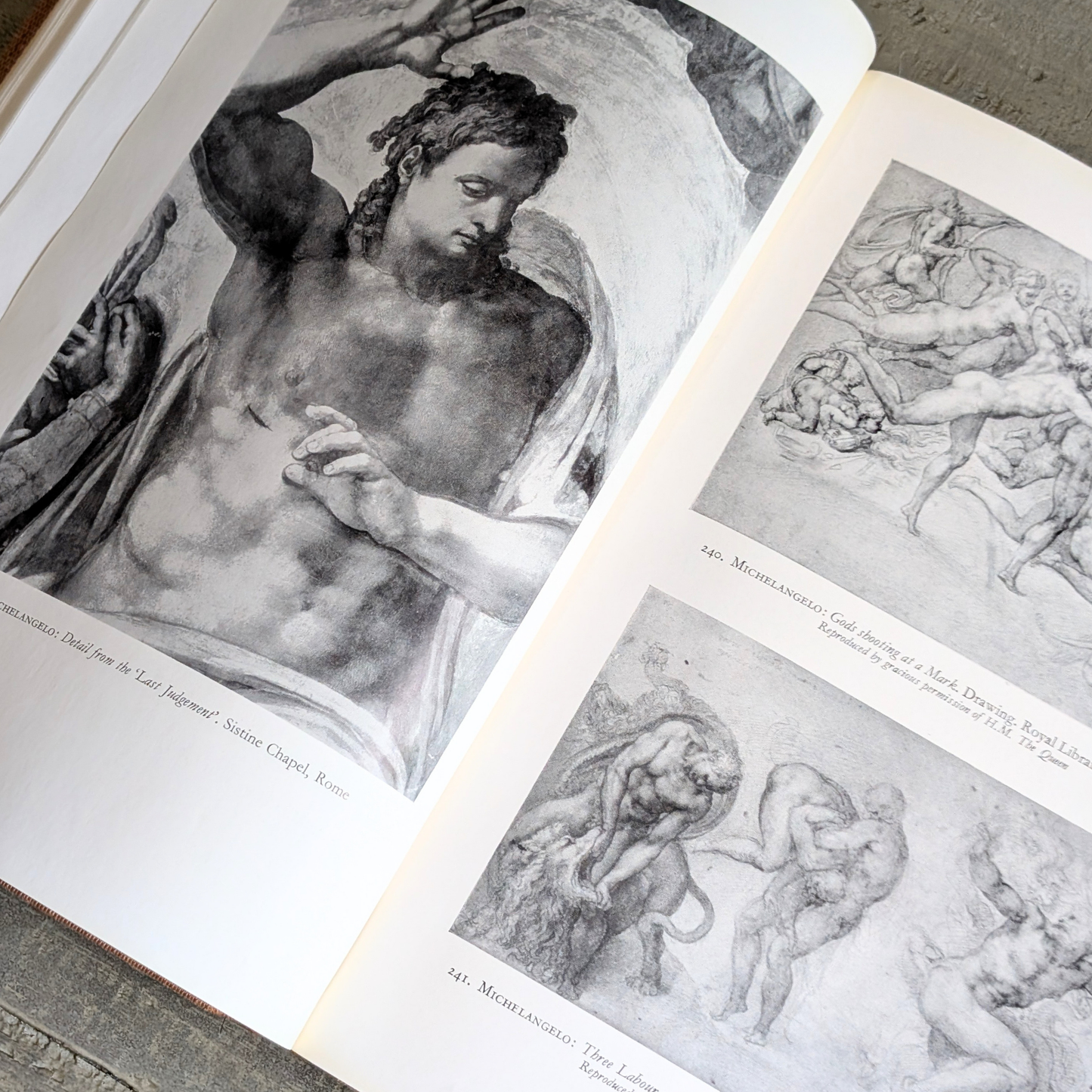 The Italian Painters of the Renaissance Book