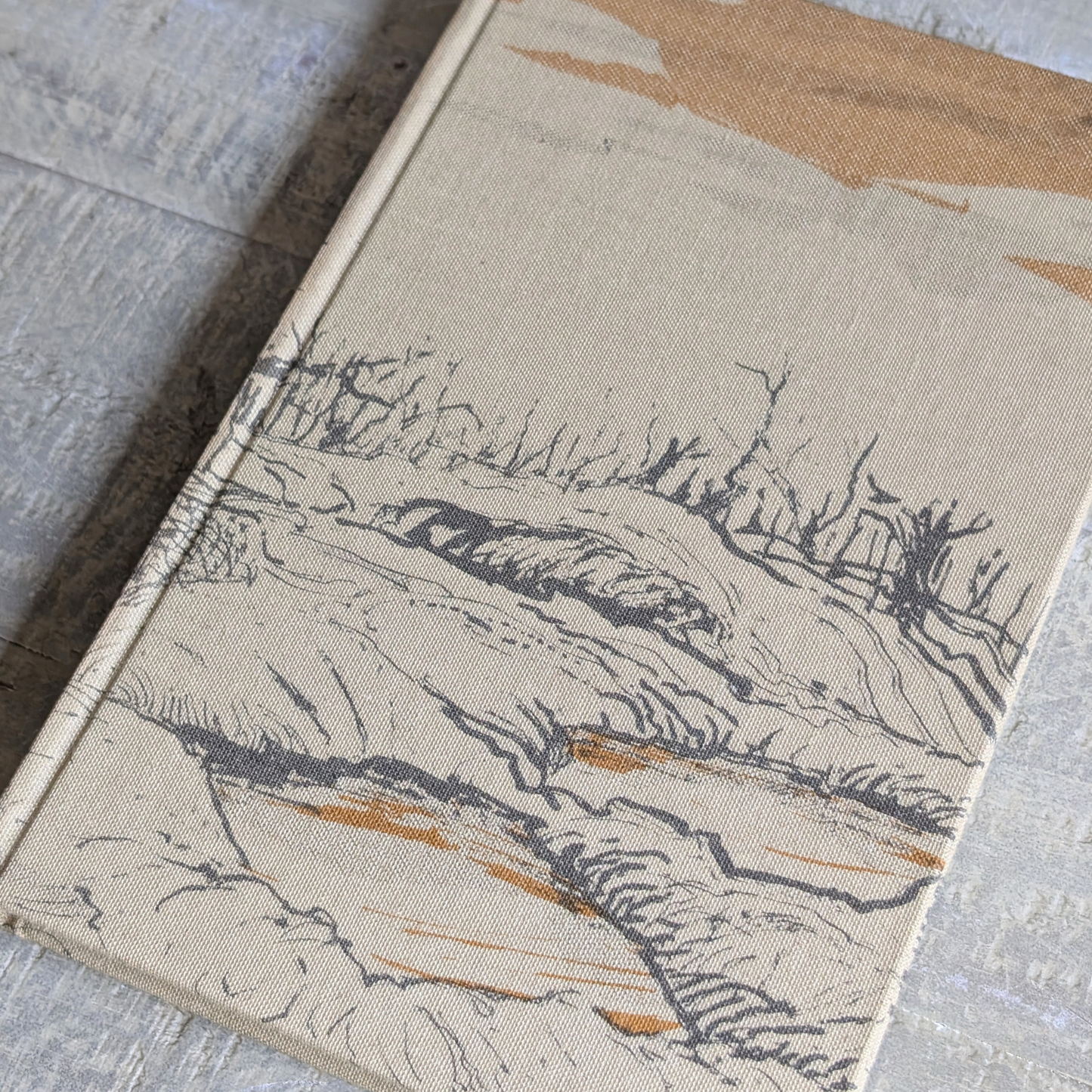 Sherston's Progress Book