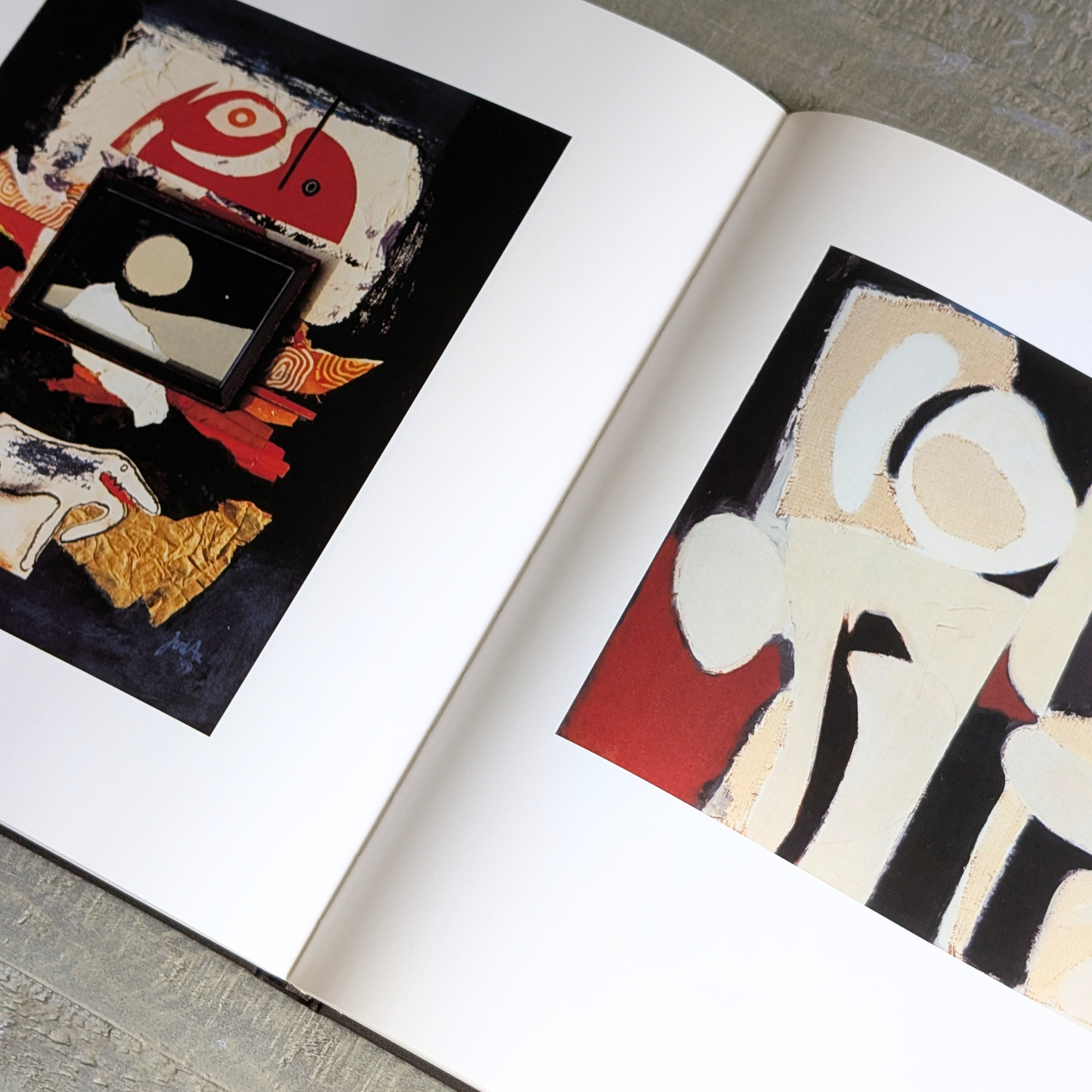 Jan Van Der AA Book