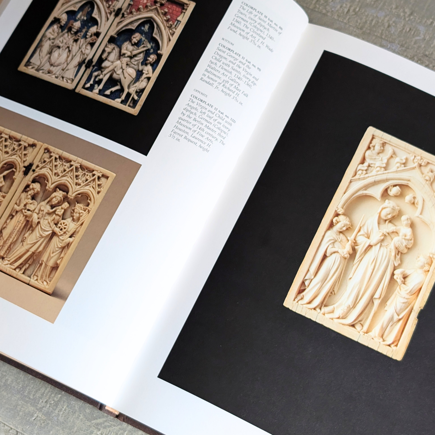 Golden Age of Ivory Book