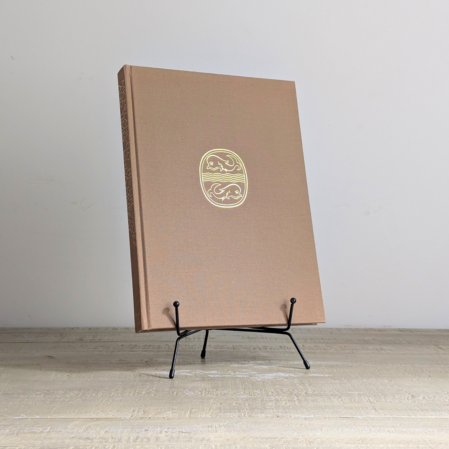 Michelangelo Book