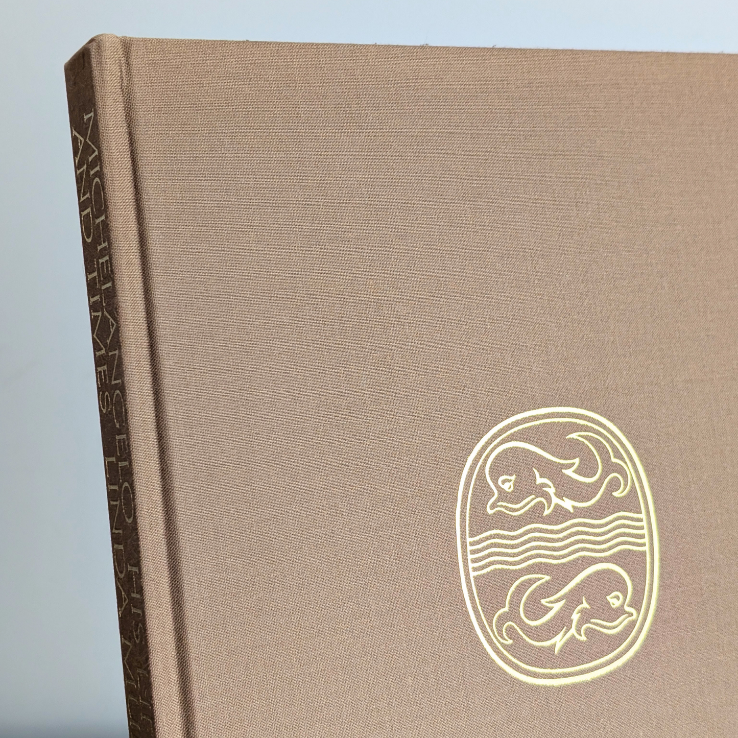 Michelangelo Book