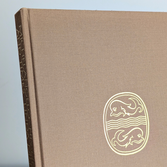 Michelangelo Book